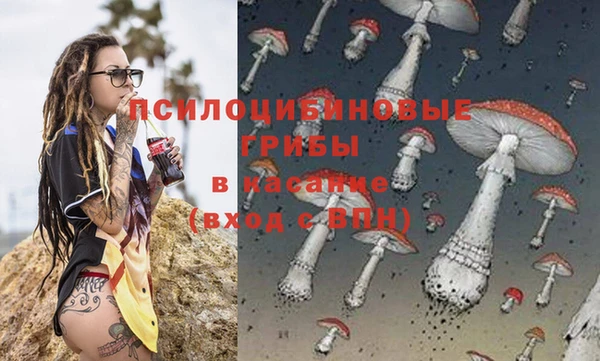 spice Бронницы
