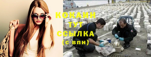 кокс Бородино